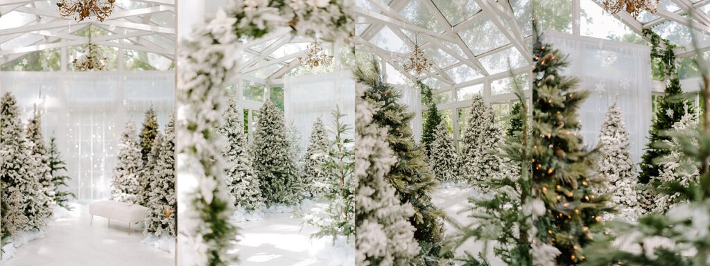 Winter Wonderland Fall Minis in The Woodlands, TX – Book Now!