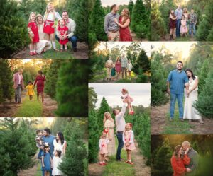 How to Choose the Perfect Fall Mini Session for Your Family